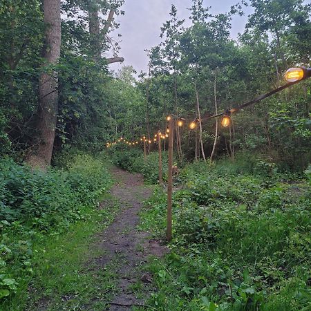 Ecolodges De Dreef Guesthouse Renesse Eksteriør bilde