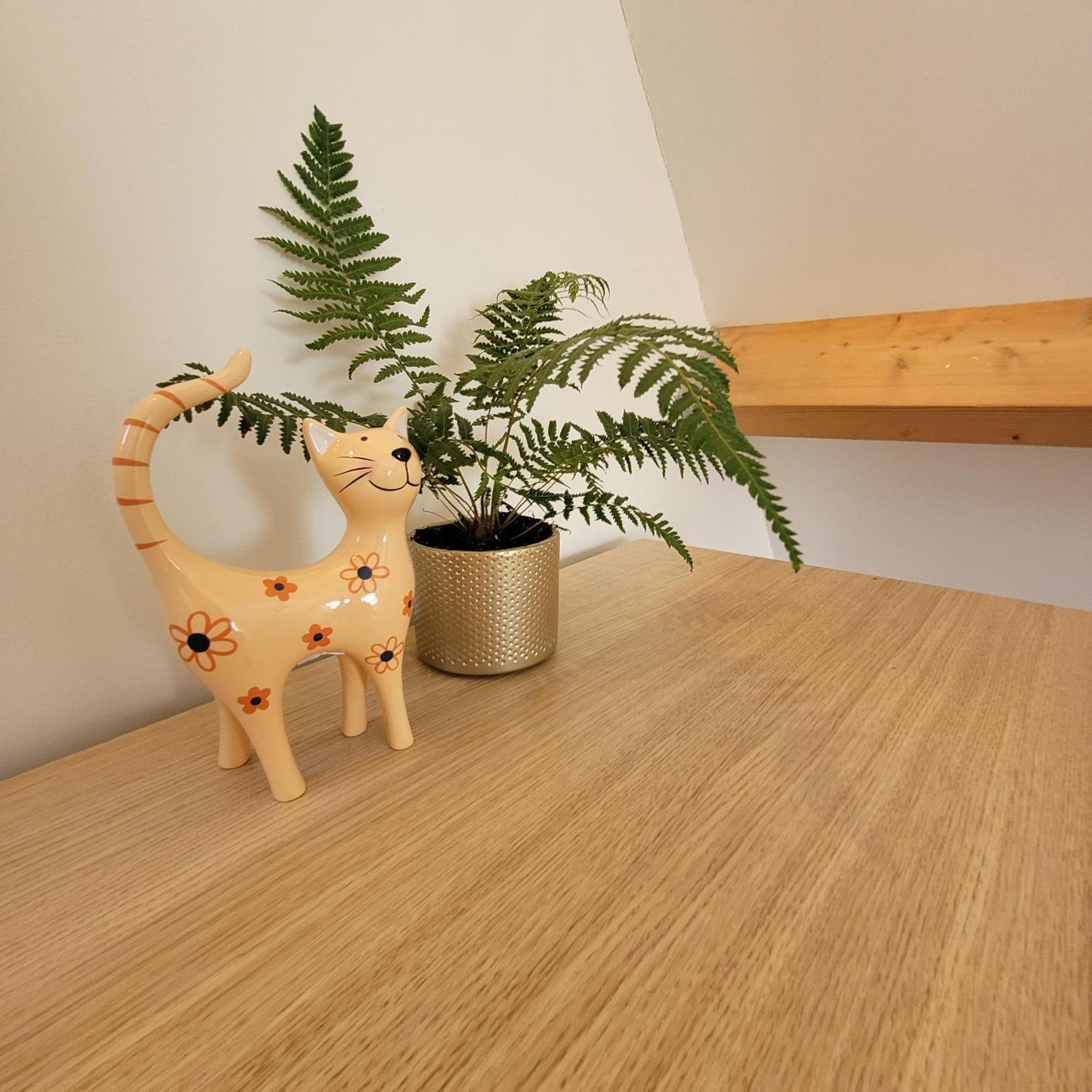 Ecolodges De Dreef Guesthouse Renesse Eksteriør bilde